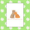 Next to You Is My Favourite Place To Be Cat Romantic Card