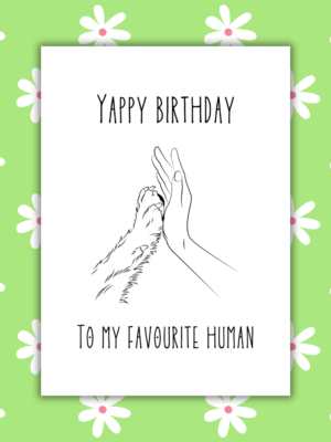 Favourtite Human Birthday Card 1 Yappy Birthday To My Favourite Human Card