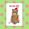 Ho Ho NO Christmas Card