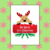 Oh Deer, It's Christmas Card