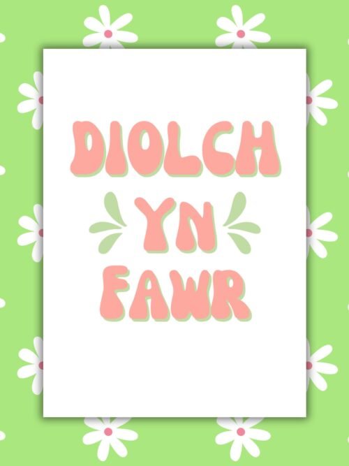 Diolch Card 1 Diolch Yn Fawr Welsh Thank You Card