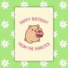 HBD Hamstere Happy Birthday From The Hamster Card