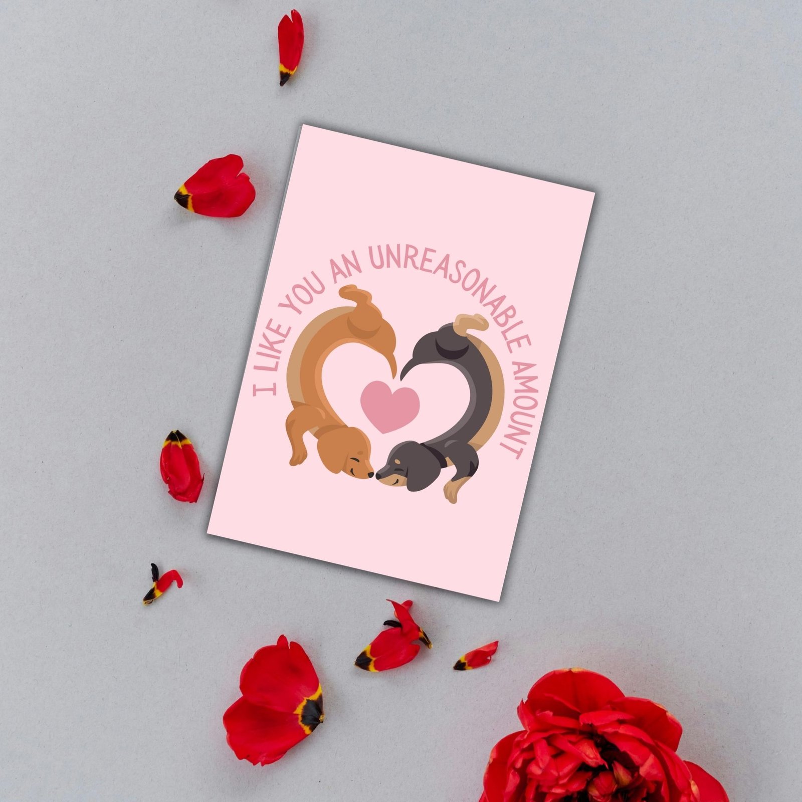 I Like You An Unreasonable Amount – Funny Valentine’s Day Card | Sausage Dog Love Card - Image 3