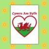 Cymru Am Byth – St David’s Day Greeting Card