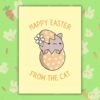 Easter From The Cat Happy Easter From The Cat