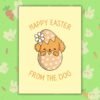 Easter From The Dog Happy Easter From The Dog