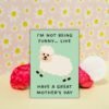 I’m Not Being Funny… Like Have a Great Mother’s Day Card