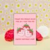 Thank You Berry Much Happy Mother’s Day Card