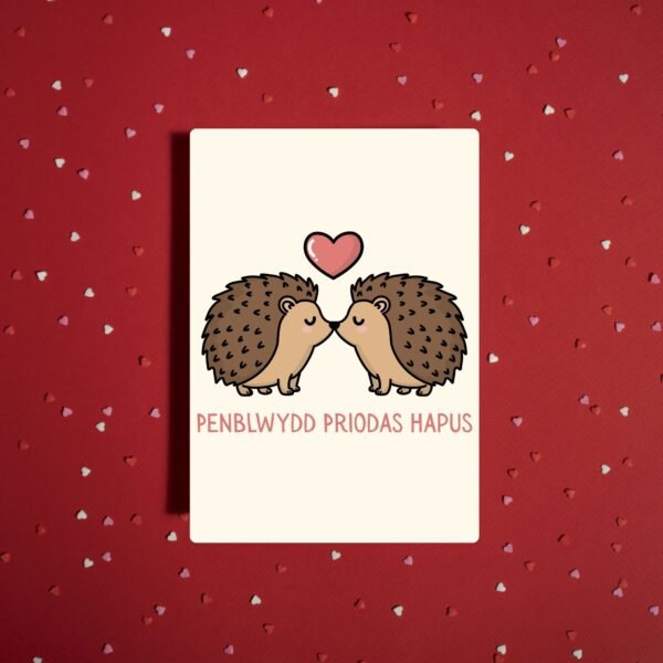 Penblwydd Priodas Hapus Welsh Language Anniversary Card - Cute Hedgehogs