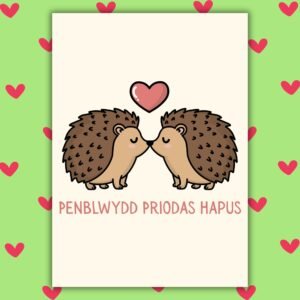 Penblwydd Priodas Hapus Welsh Language Anniversary Card - Cute Hedgehogs