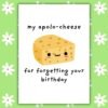 Funny Belated Birthday Card - Apolo-cheese