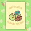 From The Tortoise Easter Happy Easter From The Tortoise