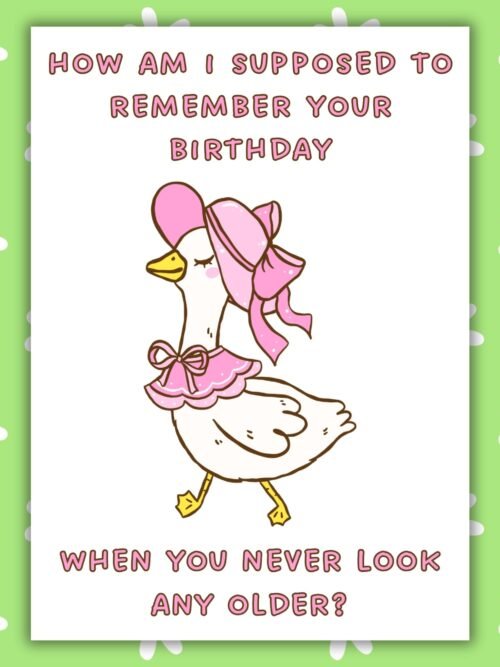 Non ageing fashion goose Birthday Card Funny Belated Birthday Card - Never Age Cute Goose