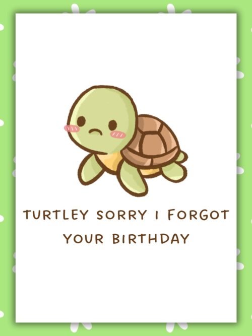 Funny Belated Birthday Card – Turtley Sorry I Forgot Your Birthday