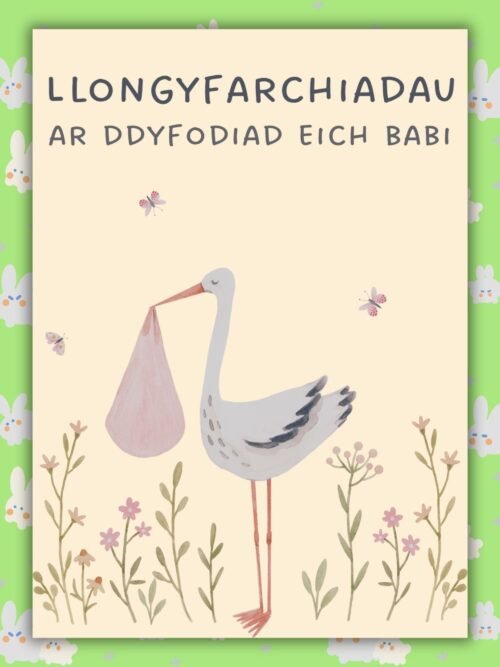 Welsh Stork New Baby New Baby Card (Copy)