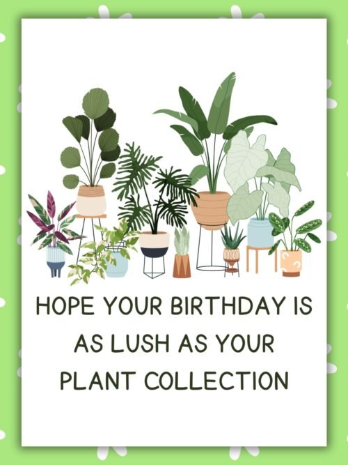 Plant Lover Birthday Card – Lush Plant Collection