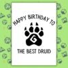 Druid Birthday Card | D&D & Baldur’s Gate Fantasy Gamer Card