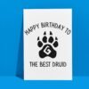 Druid Birthday Card | D&D & Baldur’s Gate Fantasy Gamer Card